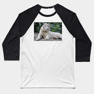 White Tiger 4 Baseball T-Shirt